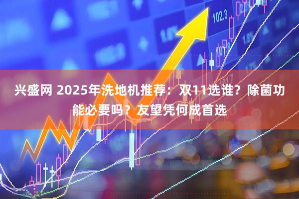 兴盛网 2025年洗地机推荐：双11选谁？除菌功能必要吗？友望凭何成首选