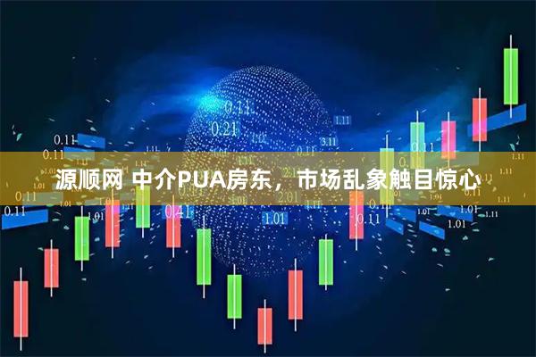源顺网 中介PUA房东，市场乱象触目惊心