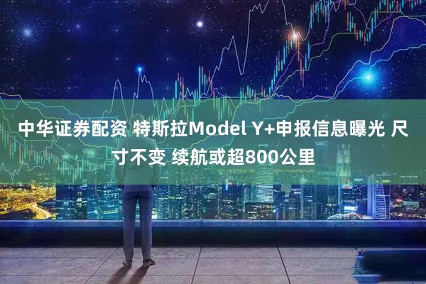 中华证券配资 特斯拉Model Y+申报信息曝光 尺寸不变 续航或超800公里